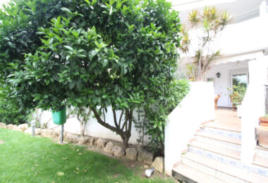 OPORTUNITY IN GOLDEN MILE!  GRATE APARTMENT  OF 3 BED!