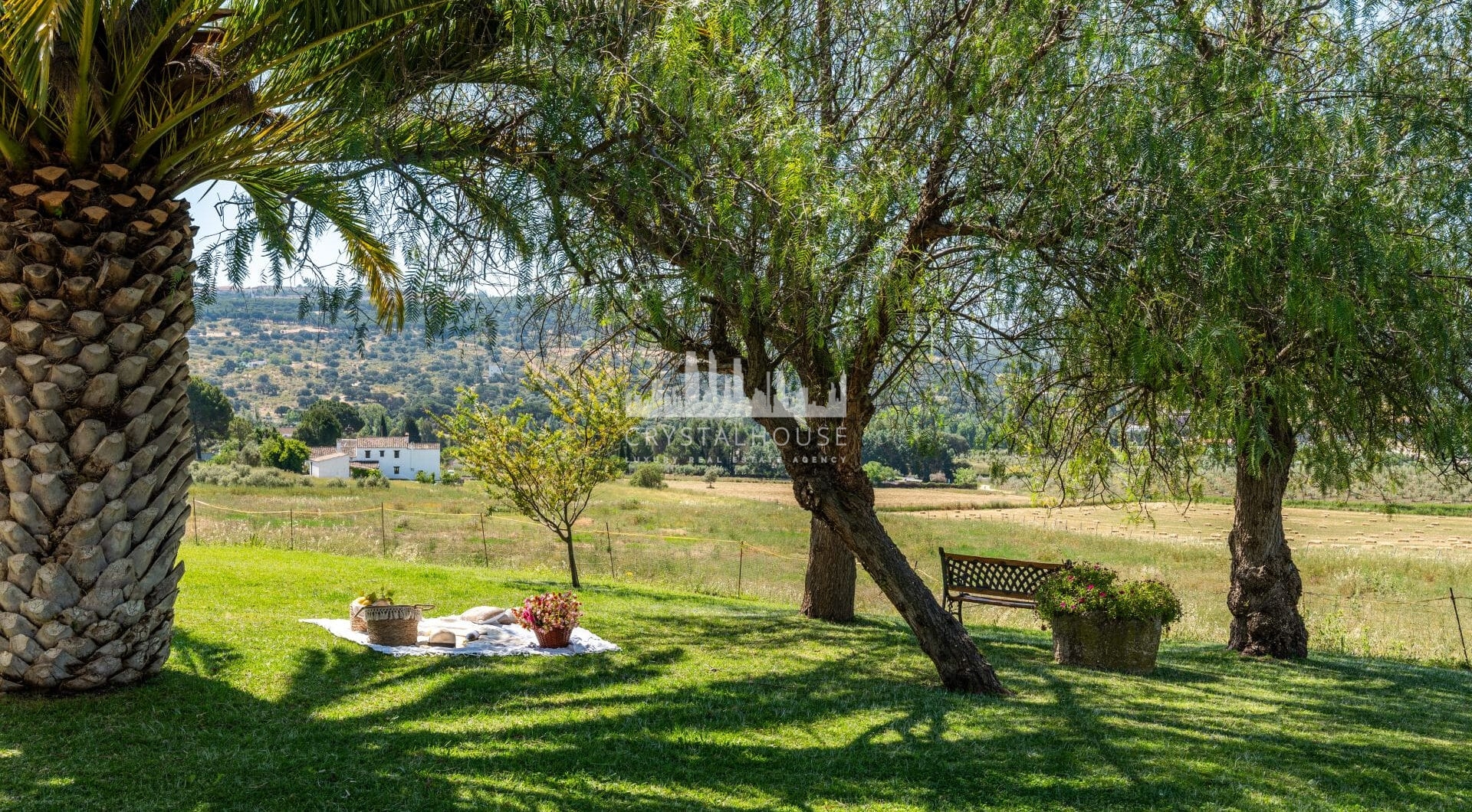 Set within the rolling countryside of Ronda, Finca El Abuelillo offers over 35,000 m² of private land, combining enduring architecture with quiet seclusion.