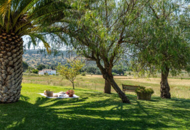 Set within the rolling countryside of Ronda, Finca El Abuelillo offers over 35,000 m² of private land, combining enduring architecture with quiet seclusion.