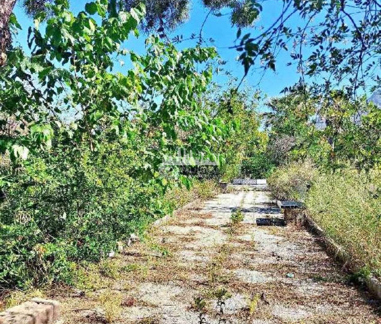 Grand plot on Marbella's Golden Mile set for renovation.