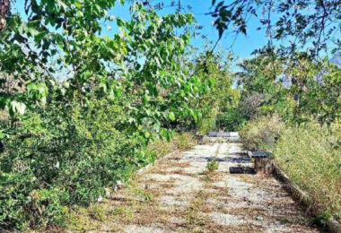 Grand plot on Marbella's Golden Mile set for renovation.