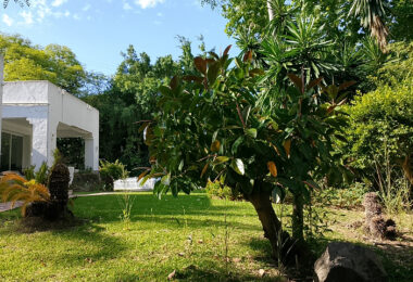 Spacious property for renovation in El Paraiso Medio , Estepona East