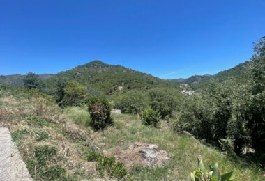 Plot for sale in Ojen