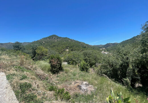 Plot for sale in Ojen