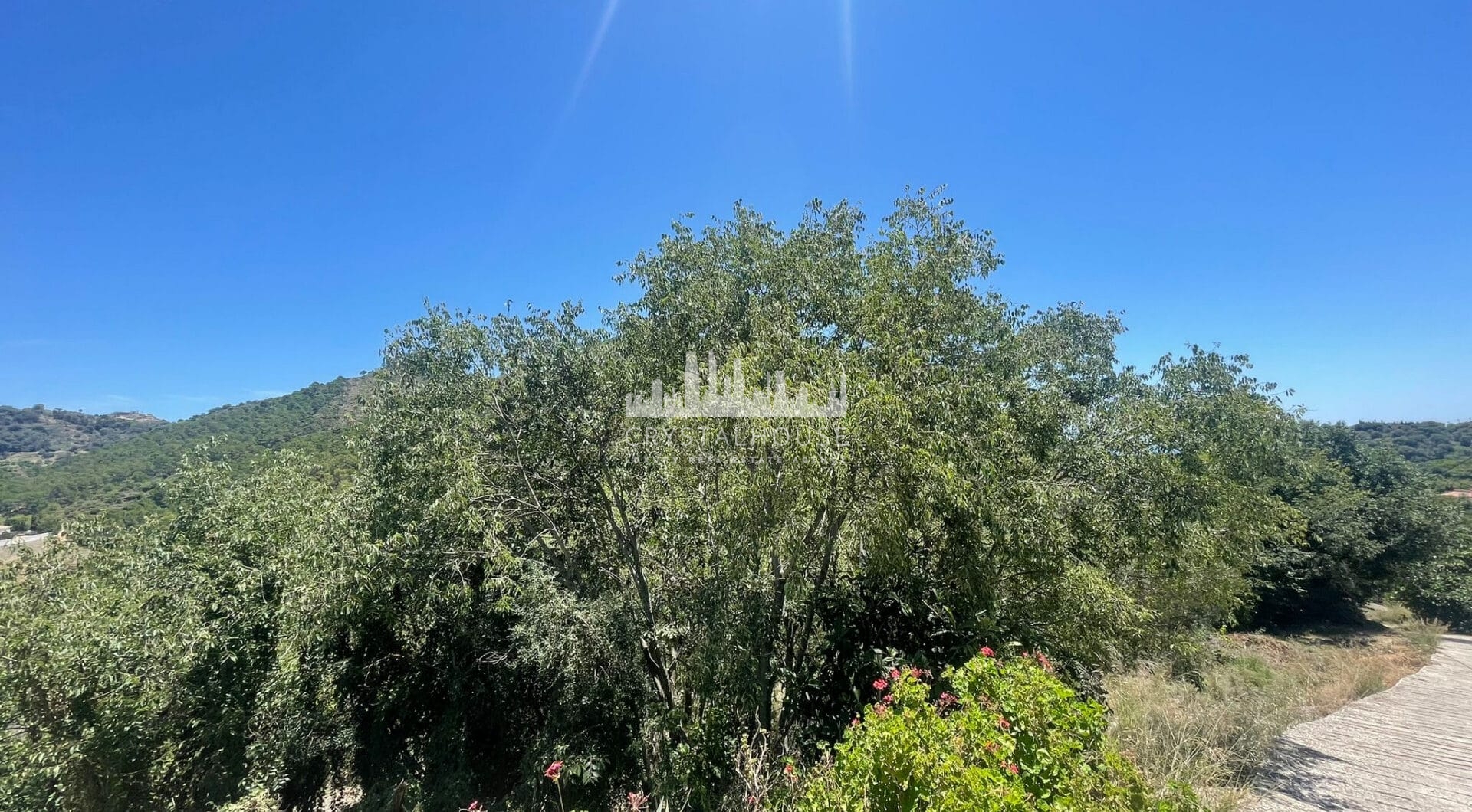 Plot for sale in Ojen