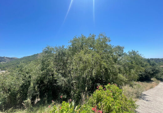 Plot for sale in Ojen