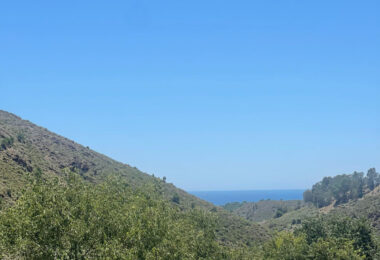 Plot for sale in Ojen