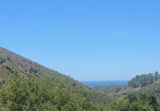 Plot for sale in Ojen
