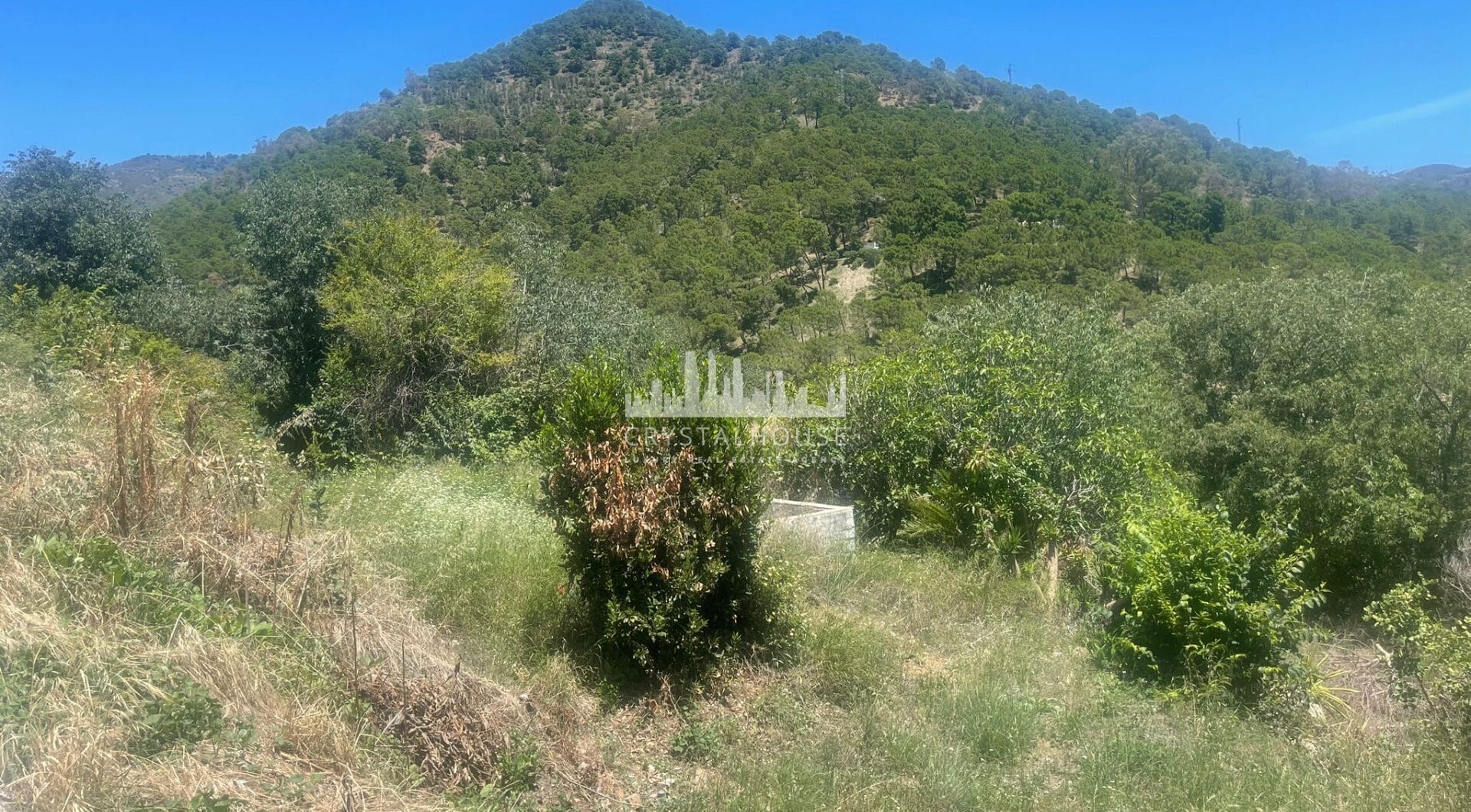 Plot for sale in Ojen