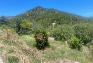 Plot for sale in Ojen