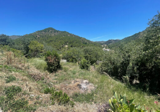 Plot for sale in Ojen