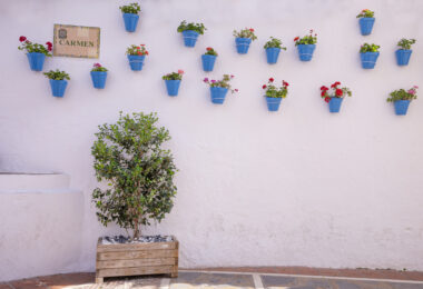 Charming  house , located in Marbella's Old Town.
