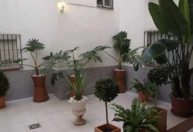 Spain, Malaga, Malaga - Centro