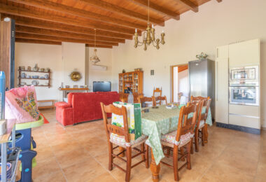 Beautiful, large country villa with beautiful sea views