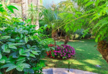 Lomas del Rey: Unparalleled Luxury in Marbella’s Golden Mile