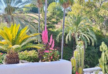 Elegant  apartment in King Hills , Marbella Golden Mile