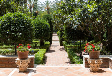 Exclusive Apartment for Sale in the Prestigious Don Gonzalo Complex, Marbella