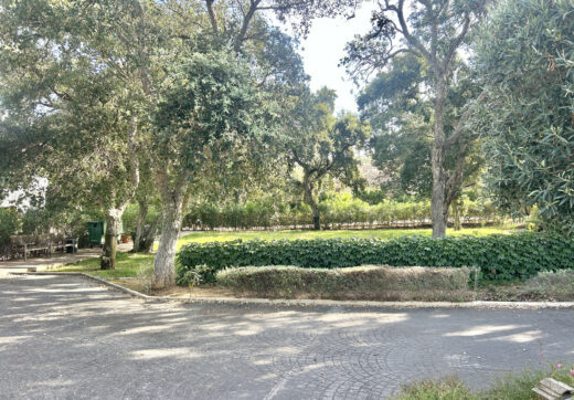 Plot with own water, with beautiful mature garden; exterior enclosure wall and completely fenced, for sale in Sotogrande