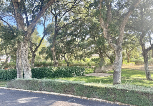 Plot with own water, with beautiful mature garden; exterior enclosure wall and completely fenced, for sale in Sotogrande