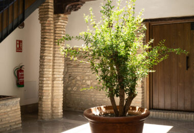 New Construction Granada - Glass Furnace