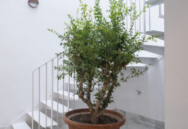 New Construction Granada - Glass Furnace