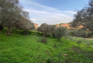 Expansive Plot for Development in San Roque, Cadiz