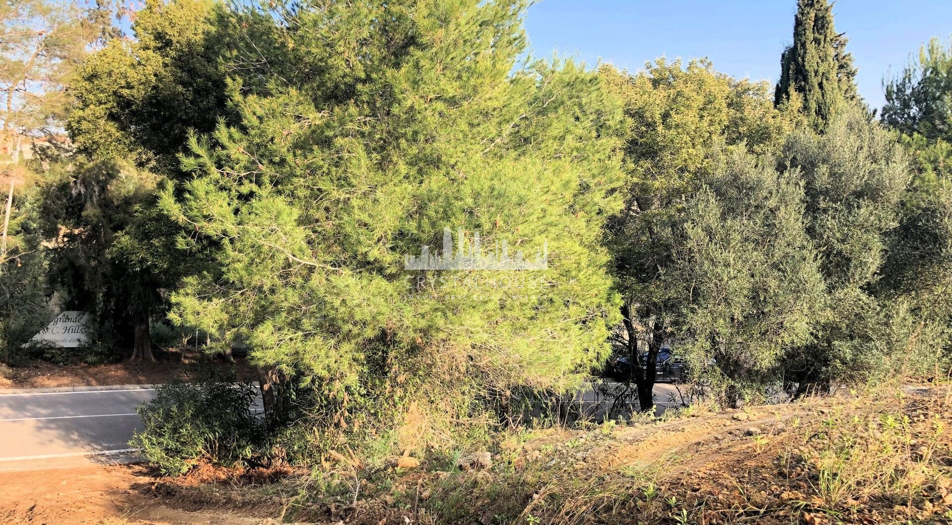 Spain, Sotogrande, Sotogrande Alto
