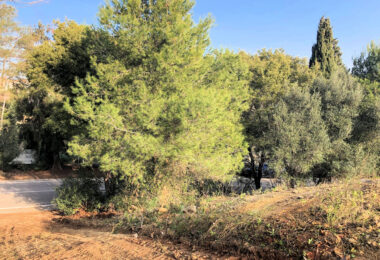 Spain, Sotogrande, Sotogrande Alto