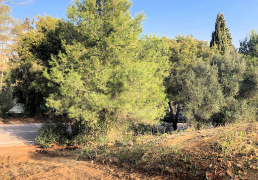 Spain, Sotogrande, Sotogrande Alto