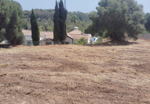 Spain, Sotogrande, Sotogrande Alto