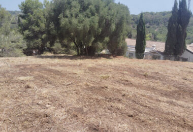 Spain, Sotogrande, Sotogrande Alto