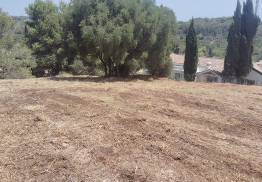 Spain, Sotogrande, Sotogrande Alto