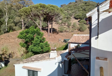 Charming Andalusian Finca in Casares