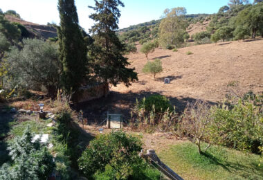 Charming Andalusian Finca in Casares