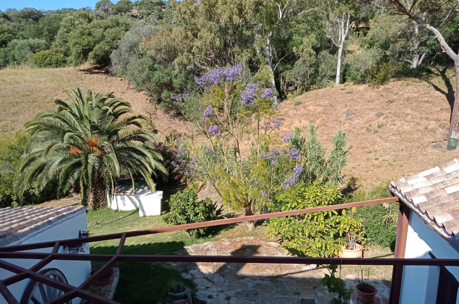 Charming Andalusian Finca in Casares