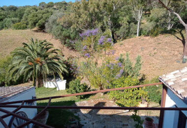 Charming Andalusian Finca in Casares
