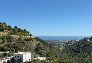 Villa Alfa - Madroñal Gold