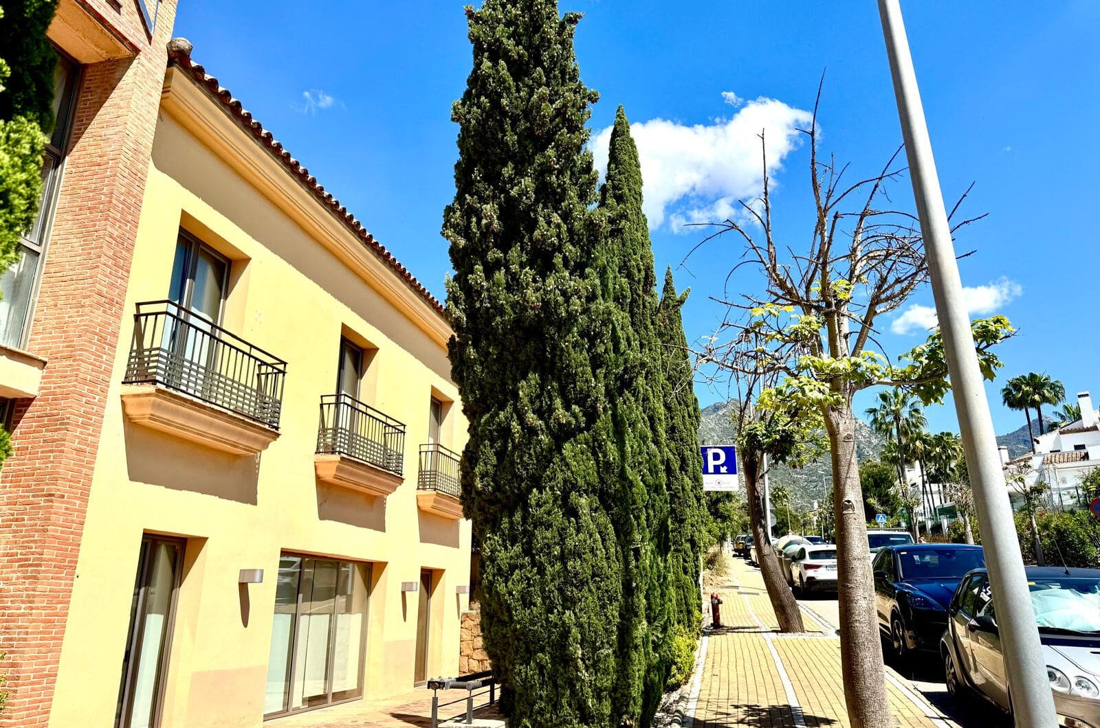 OFFICE IN CAMOJAN SIERRA BLANCA