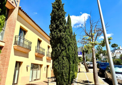 OFFICE IN CAMOJAN SIERRA BLANCA