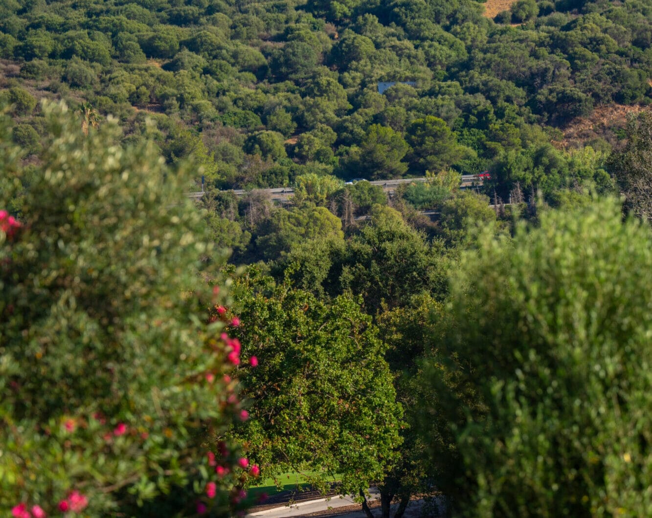 A haven of calm with endless views in San Roque Club