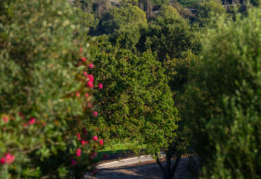 A haven of calm with endless views in San Roque Club