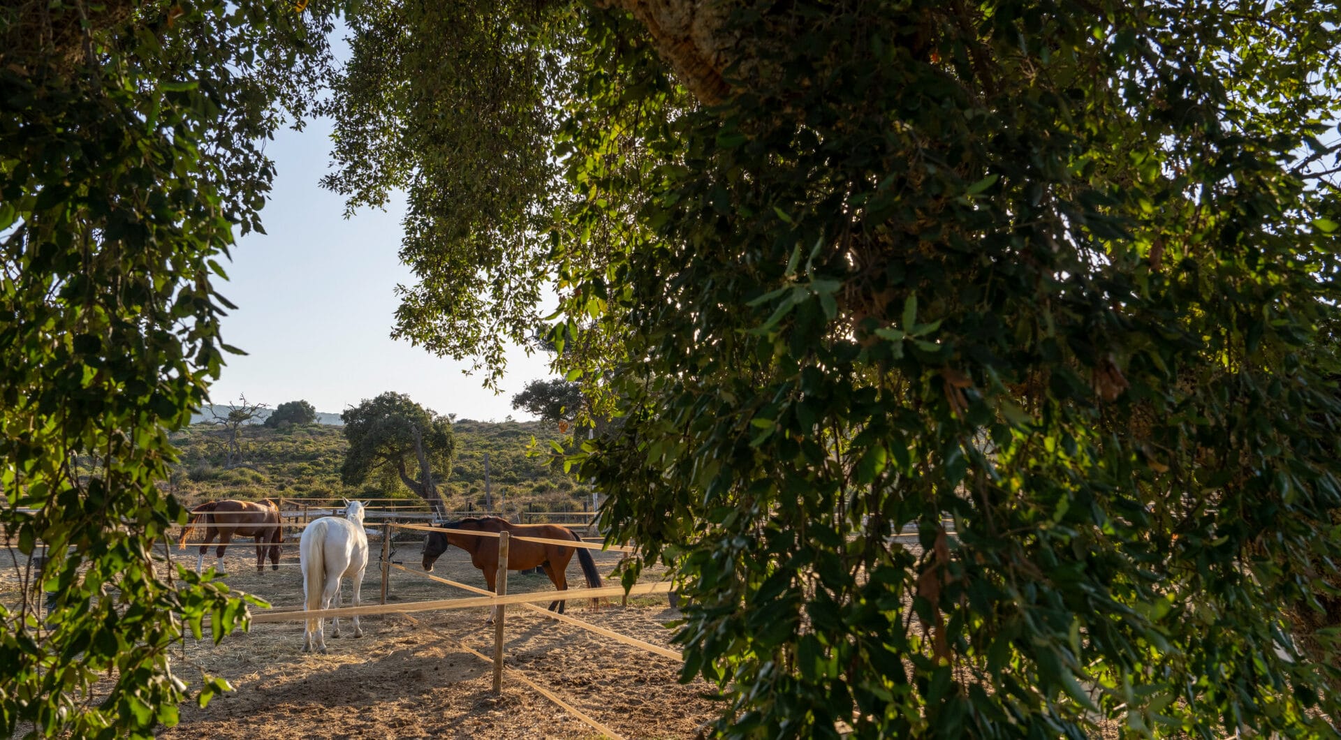 A haven of calm with endless views in San Roque Club
