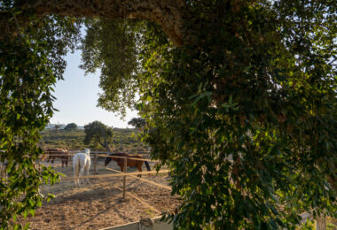 A haven of calm with endless views in San Roque Club