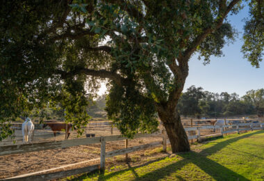 A haven of calm with endless views in San Roque Club