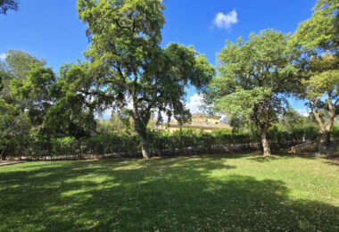 Plot with own water, with beautiful mature garden; exterior enclosure wall and completely fenced, for sale in Sotogrande