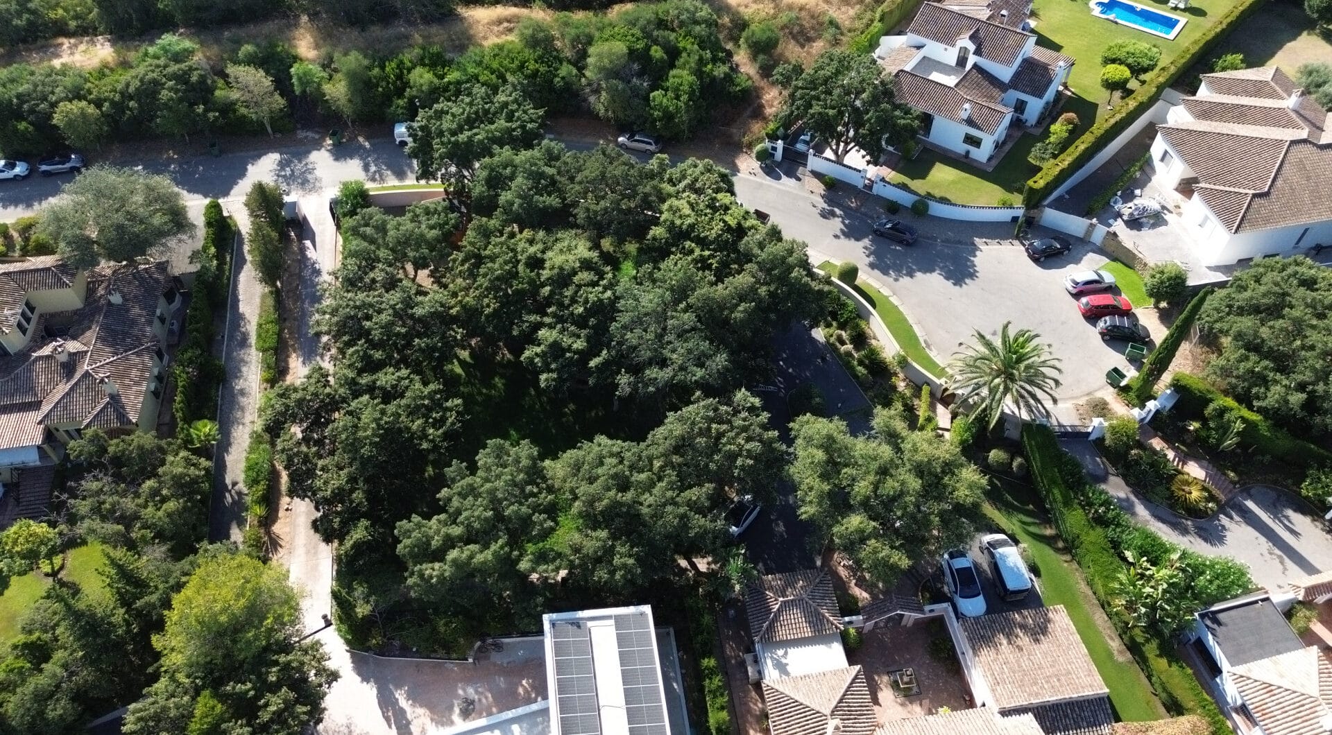 Plot with own water, with beautiful mature garden; exterior enclosure wall and completely fenced, for sale in Sotogrande