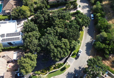 Plot with own water, with beautiful mature garden; exterior enclosure wall and completely fenced, for sale in Sotogrande