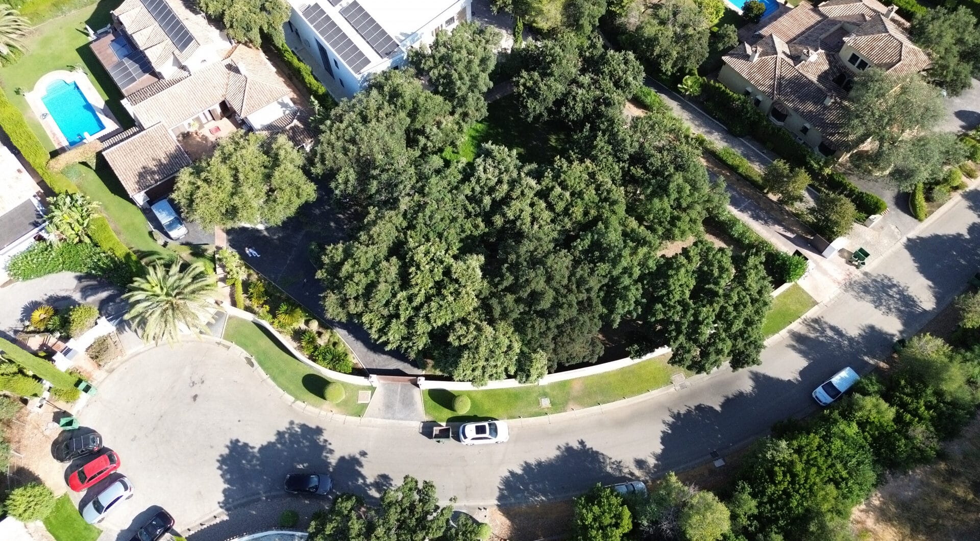 Plot with own water, with beautiful mature garden; exterior enclosure wall and completely fenced, for sale in Sotogrande