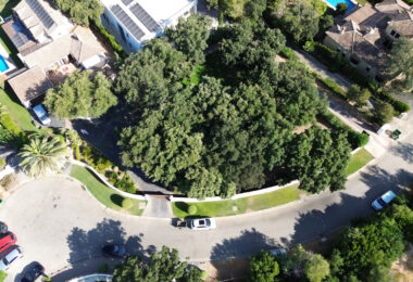 Plot with own water, with beautiful mature garden; exterior enclosure wall and completely fenced, for sale in Sotogrande