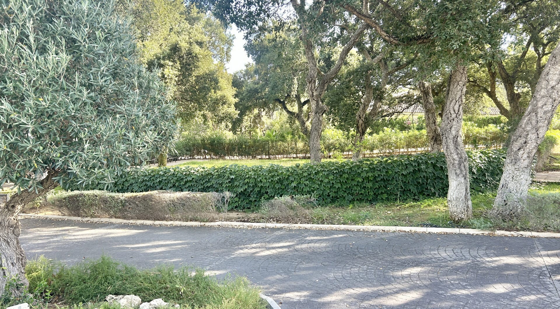 Plot with own water, with beautiful mature garden; exterior enclosure wall and completely fenced, for sale in Sotogrande